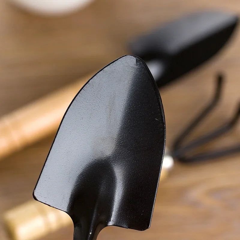 S29204263b81641faaa765d920374127dd