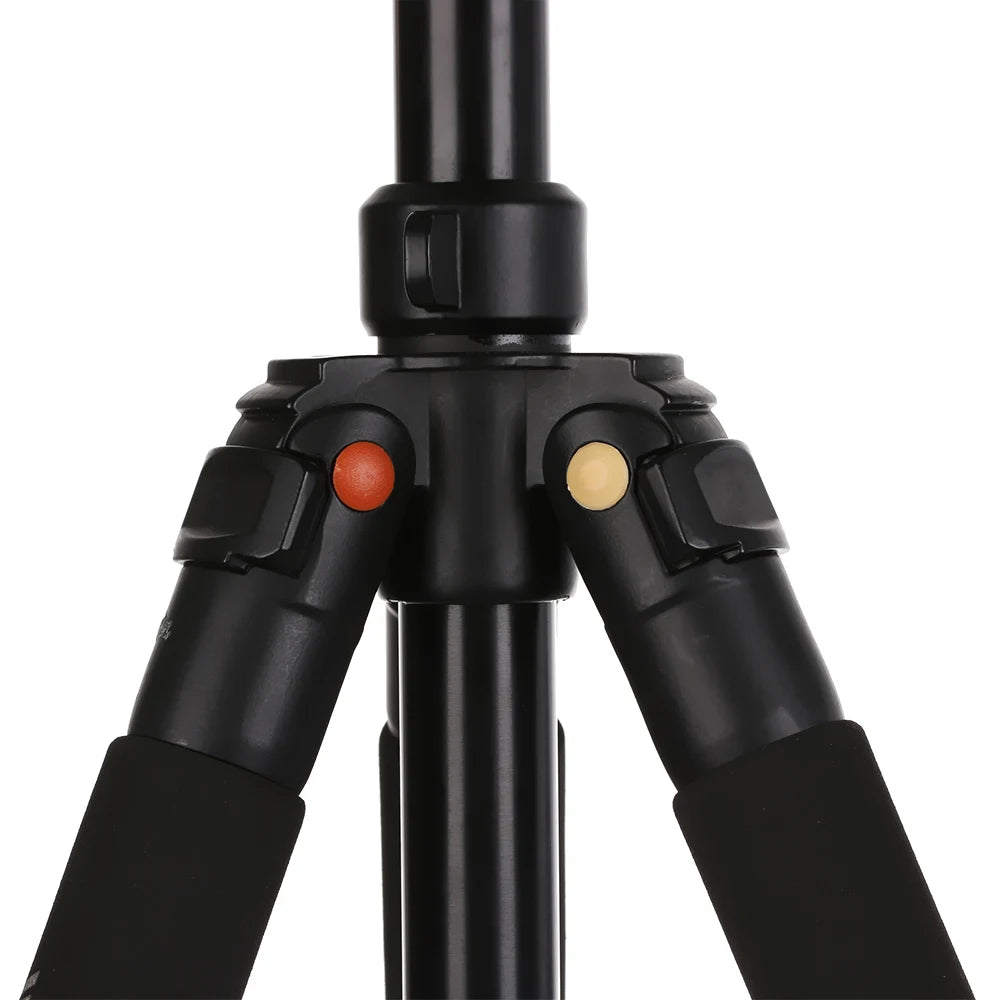 Se7c11e9aeec94e6296cee0aa2ff0fad3T